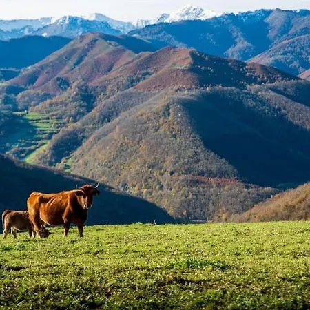 בית נופש L'aldeaperdida *