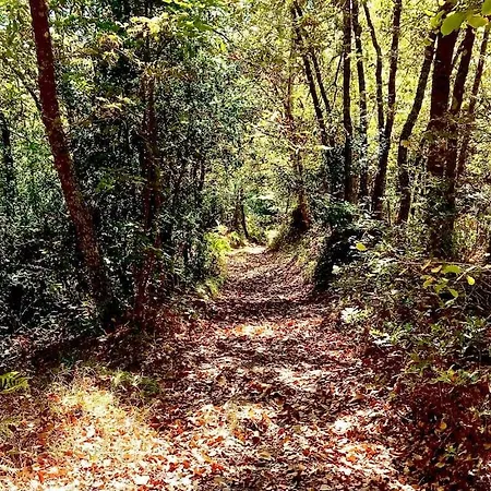 L'aldeaperdida בית נופש