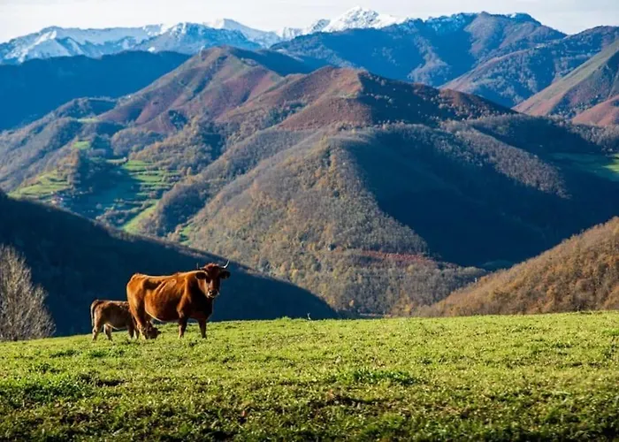 Сasa de vacaciones L'aldeaperdida *